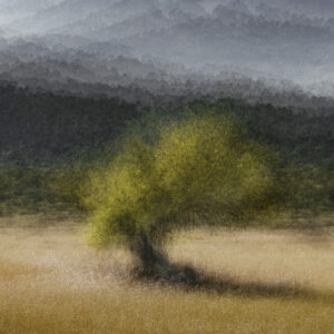 Jacob Gils Solo show
