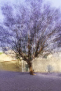 Jacob Gils trees danish