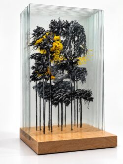 Camila Echavarria: Learning to fly | Copenhagen